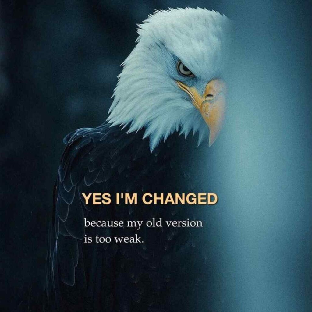 Love Nice WhatsApp DP