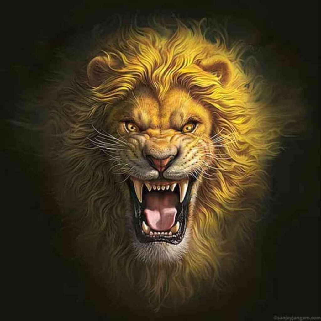 Nice WhatsApp DP Pictures